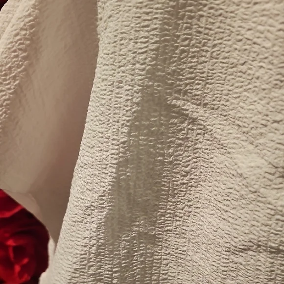 SHEIN NWT Women's Cream Ruched Crop Blouse Short Sleeve Size XSmall - Picture 5 of 7